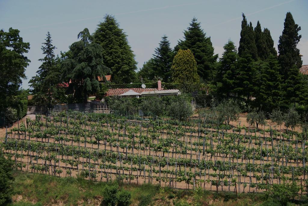 Agriturismo Podere La Fornace Cavriglia Exterior foto