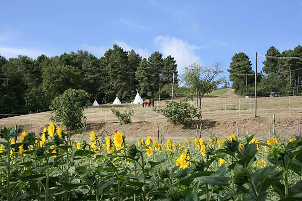 Agriturismo Podere La Fornace Cavriglia Exterior foto